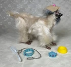 Vintage Barbie's Afghan Hound  Beauty ~ plus accessories  ~ Adorable Jointed Dog