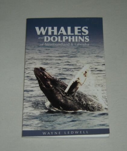 Baleines et dauphins de Terre-Neuve-et-Labrador par Wayne Ledwell  - Photo 1 sur 2