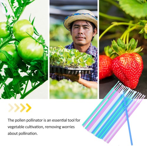 20Pcs Eggplant Pollinator Tool Fruit Vegetables Pollinator Tool Tomato - 第 3/12 張圖片