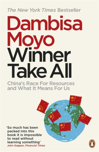 Winner Take All by Dambisa Moyo (Paperback Book)