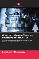 Kamoliddin P Nurmurodov | A ConstituiçãO Eficaz De Recursos Financeiros | Buch