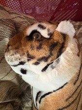 Vintage Realistic Tiger Stuffed Animal Pl" COUNTING THE TAIL Hard Head ACME 1980