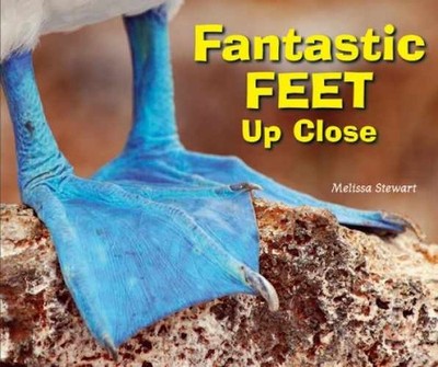 Fantastic Feet Up Close - Library Binding, by Stewart Melissa - Acceptable