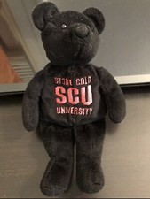 Stone Cold Steve Austin WWF WWE Attitude Bears University Class Of 3:16