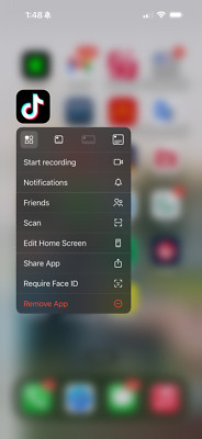 Apple iPhone 16 Pro Max tiktok installed - 256 GB 