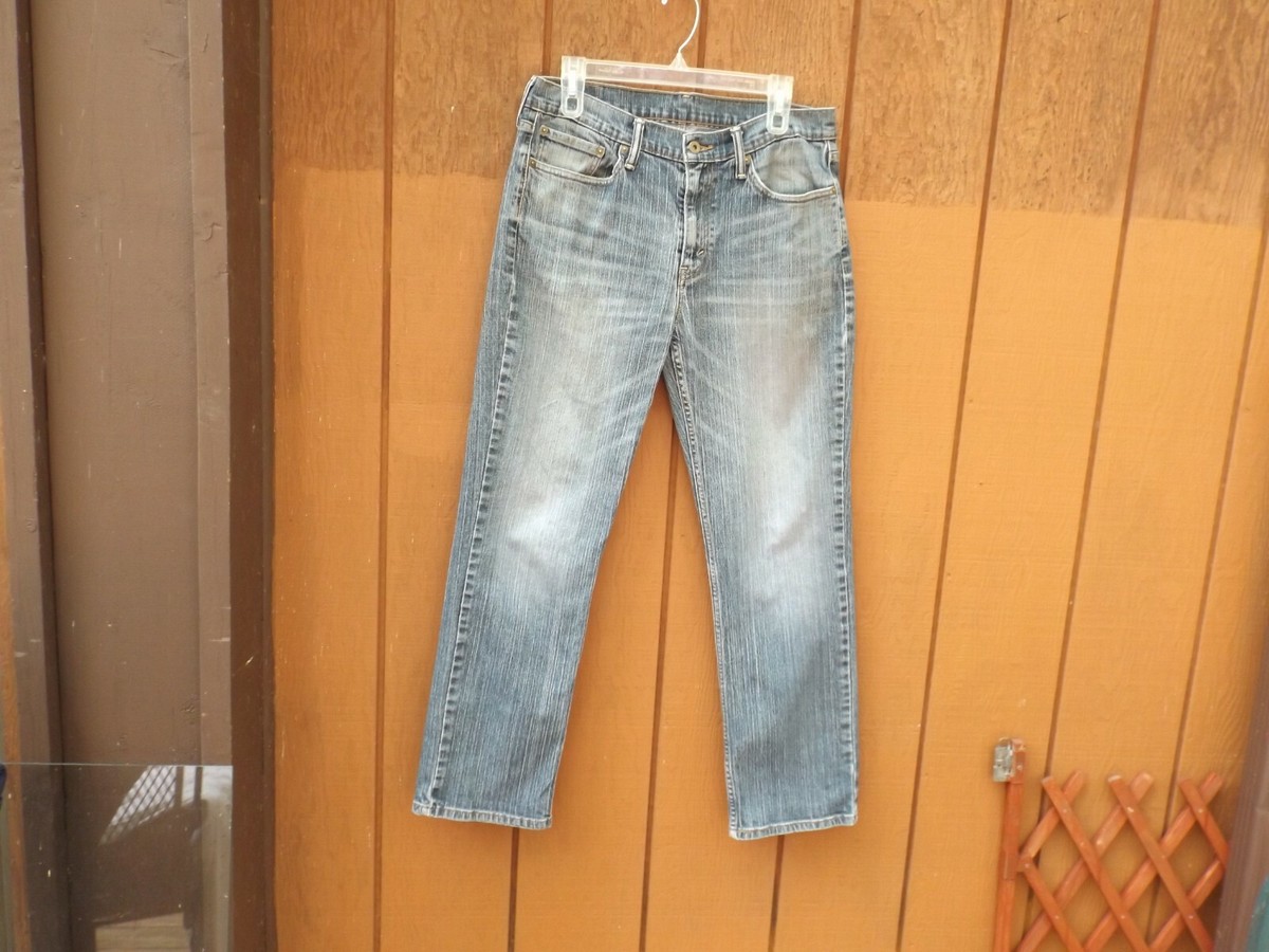 Levi's Levi Strauss Size 33 30 33x30 Men's Regular Fit Blue