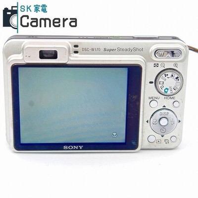 Sony Cyber-shot DSC-W170 10.1MP Digital Camera - Silver (DSC-W170
