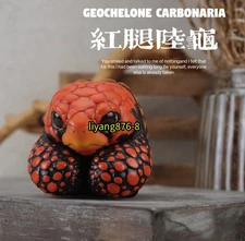 Geochelone carbonaria Turtle Figure Model Resin Collection Animal Doll Toys