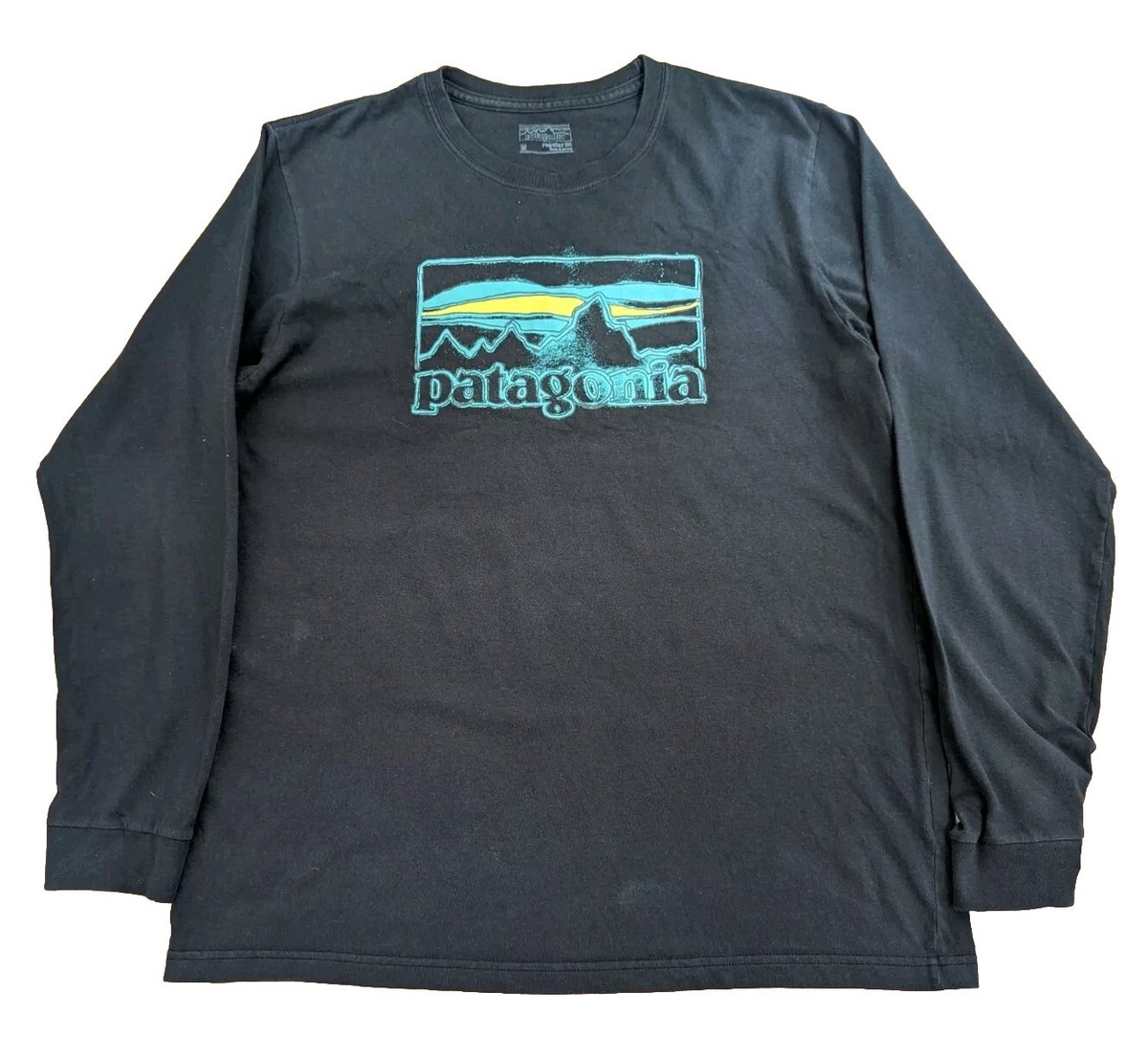 Men's Patagonia Regular Fit Long Sleeve Cotton T-Shirt Black
