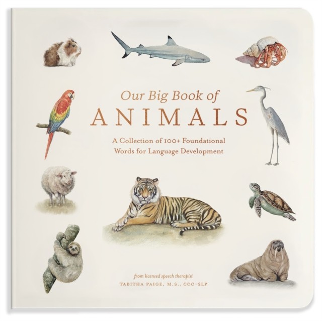 Our Big Book of Animals by Tabitha Paige (Board book)