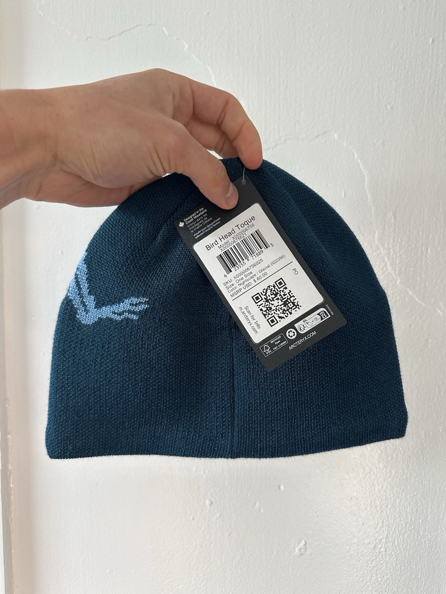 Arcteryx Bird Head Toque Skull Beanie Blue Teal Nightscape Glacial