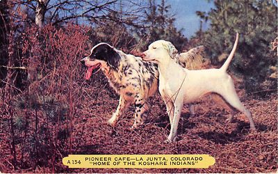 La Junta Co ~ Pioneer Cafe ~ Heim Von Koshare Indianer ~ Setter & Pointer Hunde