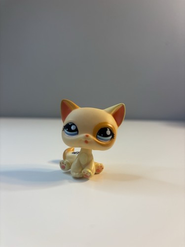 LPS #1137 LITTLEST PETSHOP ORIGINAL CHAT CAT AUTHENTIQUE MAINE COON HASBRO Lot58 EUR 15,00 - FR