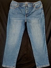 *18W Petite Terra & Sky Core Straight Leg Medium Denim Stretch Jeans Womens Plus