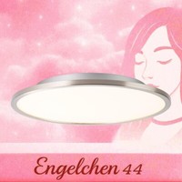 Led 20W Deckenleuchte Deckenlampe Brilliant Leuchten Ceres Panel Leuchte Lampen