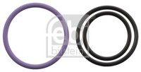 Dichtungssatz EinspritzdÜSe Febi Bilstein 103743