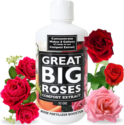 Great Big Roses   Soil and Rose Fertilizer Booster to Grow the Best Roses and Fl