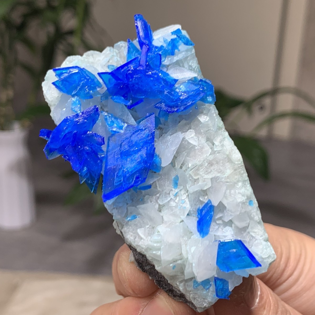 97G Newly discovered Blue Potassium alum Crystal cluster Stunning