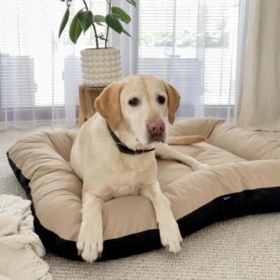 4L Textil KLEO Hundebett Grosse Hunde waschbar Hundekissen XL Hundematratze XXL