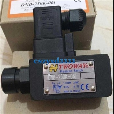 1PCS NEW TWOWAY DNB-250K-06i pressure switch