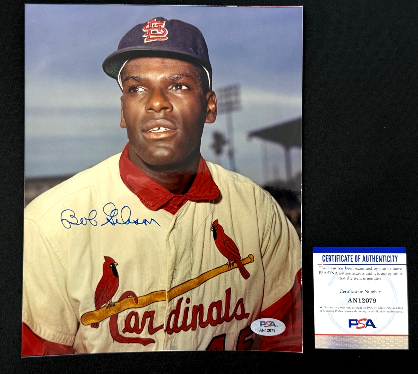 BOB GIBSON Signed Autographed 8x10 Photo Picture Cardinals HOF (PSA DNA COA)