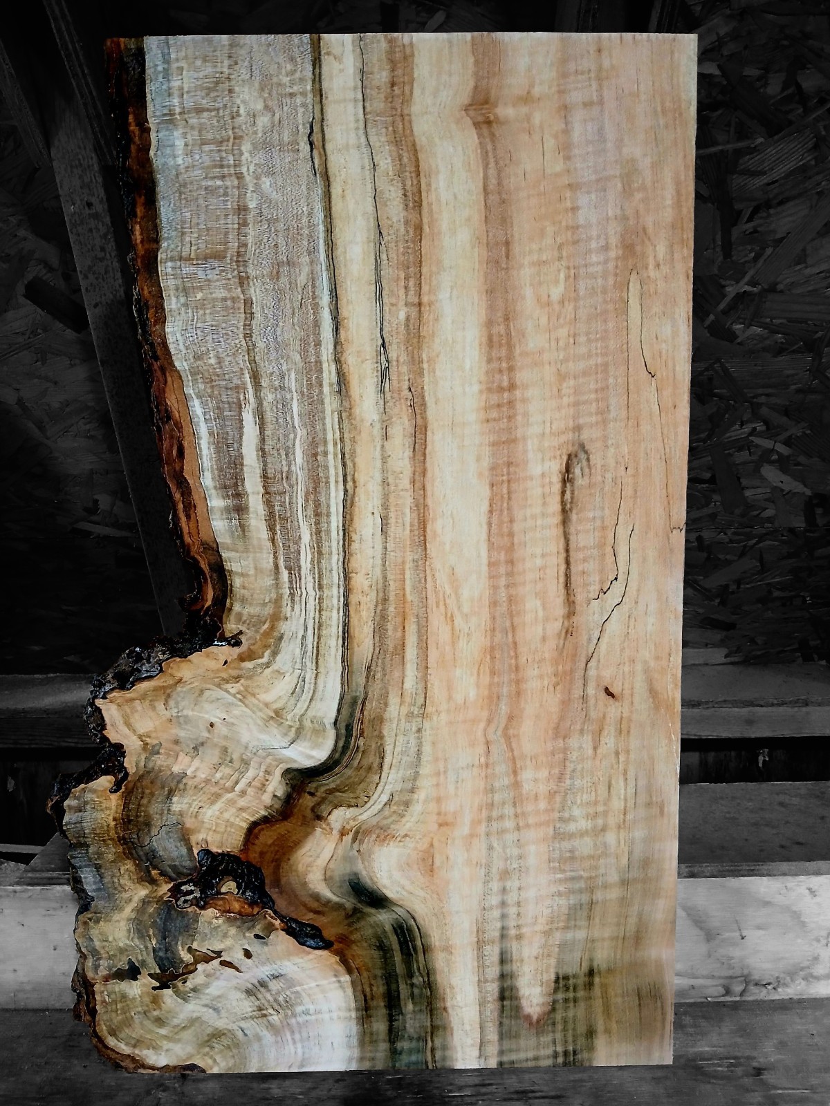 XXL MIND BLOWING Curly RED Maple Burl wood Slab EPOXY/STABILIZING/ Turning Wood