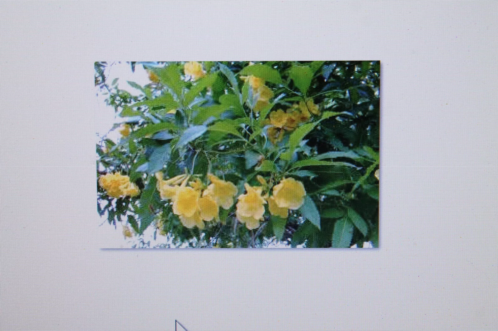 Bild 1 von 1