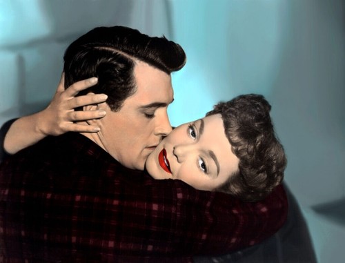 All That Heaven Allows (1955) Rock Hudson NEW DVD/ SAMEDAY FREE SHIP USA - Imagen 2 de 9