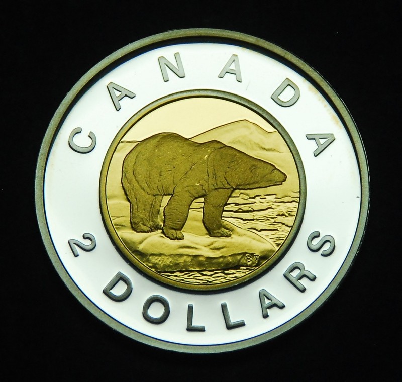2008 proof sterling silver Canadian toonie from the proof set- gorgeous coin
