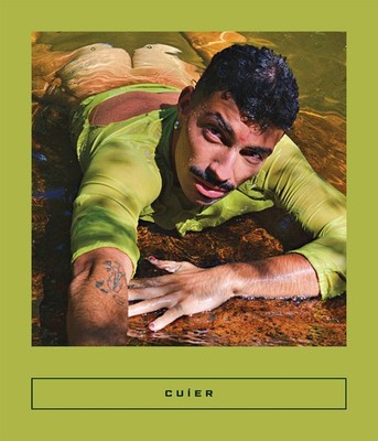 Cuíer (Calico, 4)