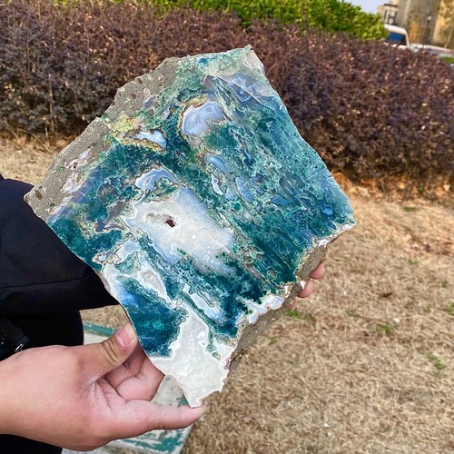 Moss Agate Slice - Natural Dendritic Patterns - Healing Crystal Disc - 4.2lb - 第 1/12 張圖片