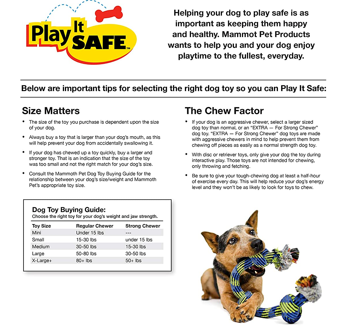How To Choose Safe Toys For Your Dog