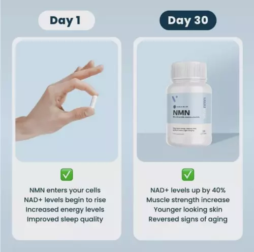 Vivanmn Pure NMN | 500mg Capsules Boosted Energy, Enhanced Sleep 30 - Picture 10 of 17