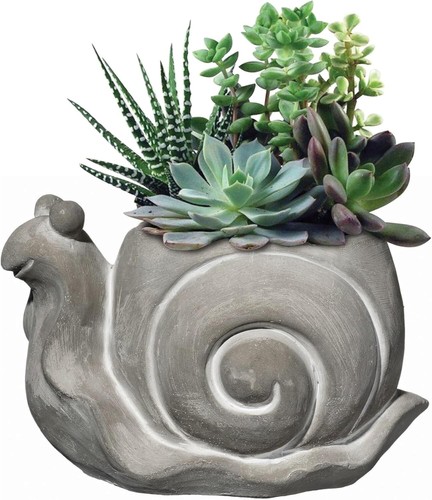 Adorable 8-Inch Cement Snail Planter with Drainage Hole for Indoor & Outdoor Use - Picture 4 of 8