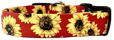 Vibrant Red Sunflowers Dog Collar - MEDIUM - 1" WIDE X 14  -22" LONG