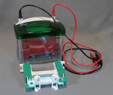 Bio-Rad Mini Protean Tetra Cell Gel Electrophoresis and Trans-Blot System 552BR