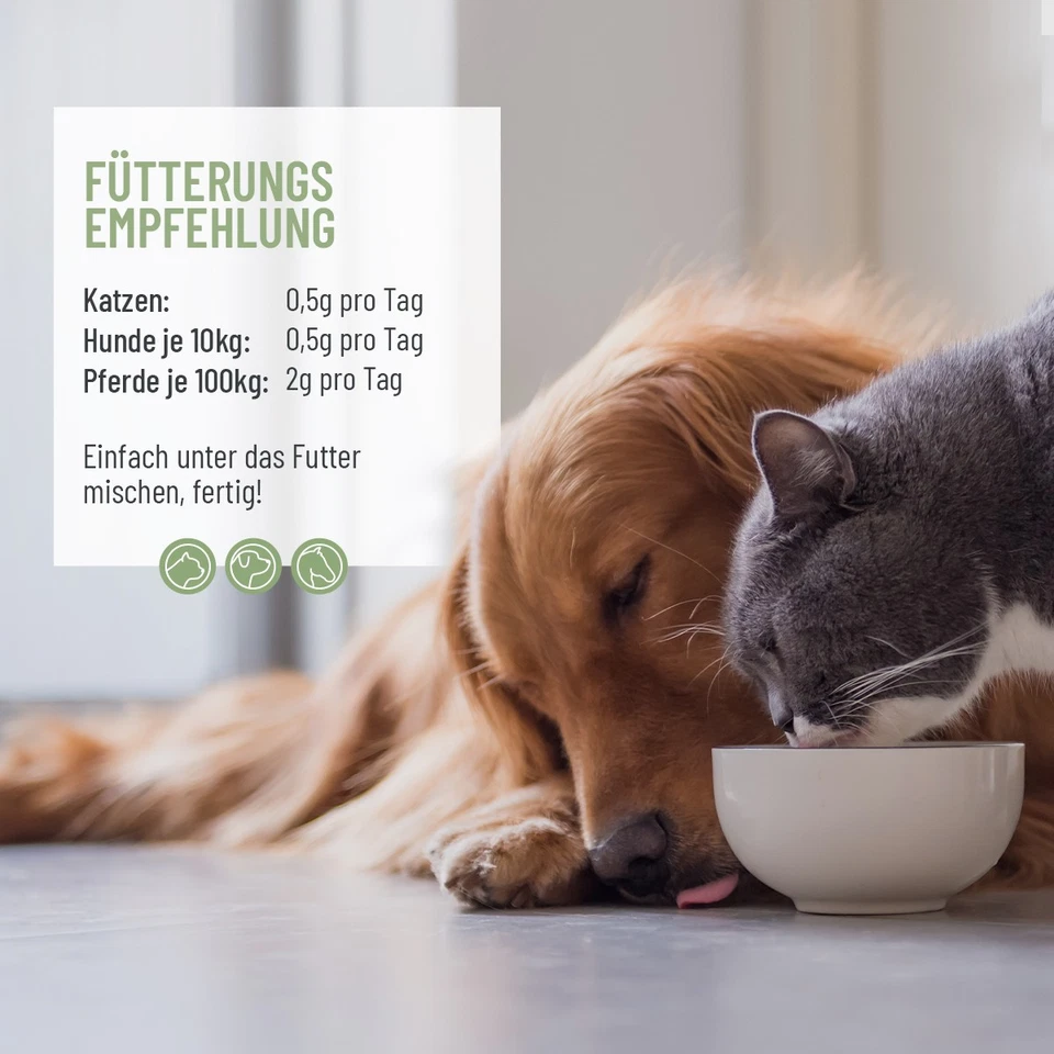 REAVET Grünlippmuschel Pulver Extrakt 500g für Hund Katze Grünlippmuschelpulver - Bild 4 von 4