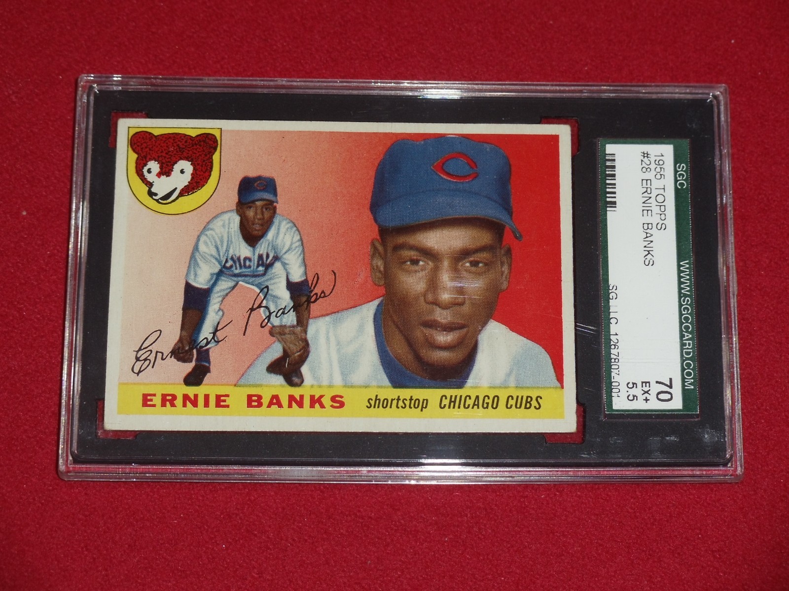 1955 Topps Ernie Banks SGC 5.5 EX+ #28 Great Centering Amazing Card for Grade