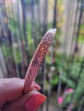 Ted Baker Rose Gold Hammered Bangle New No Box