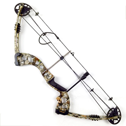 30-60lbs Compound Bow Arrows Kit Archery Fishing Hunting Adult Target Shooting - Picture 20 of 38