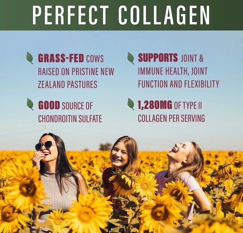 – Perfect Type II Collagen – 150 Capsules – All Natural Type II Collagen – Pa... - Picture 4 of 4