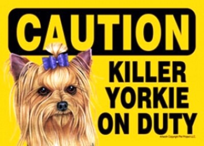 Caution Killer YORKIE on Duty-Yorkie has bow-Plastic Sign 5