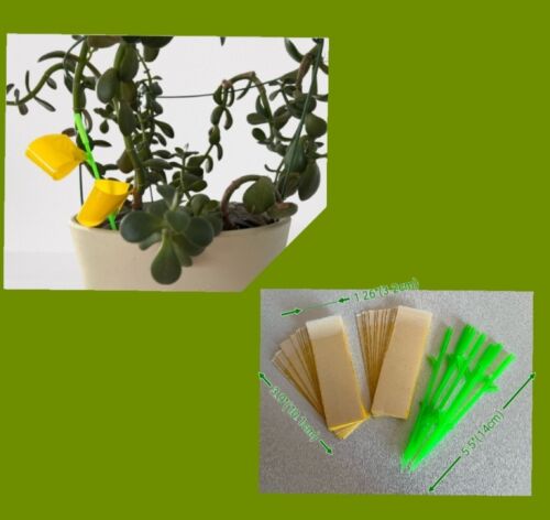Pièges collants jaunes 24 pièces + 7 bâtons pour plantes d'intérieur/extérieur mouches des fruits/moucherons/insectes - Photo 1 sur 1