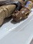 Imagen 4 de 7