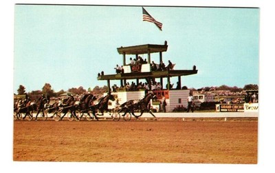Little Brown Jug Grand Circuit Racing Delaware County Fair Delaware OH postcard