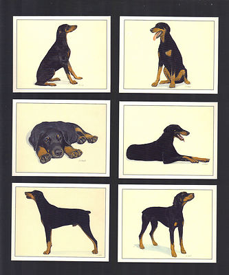 CIGARETTE/TRADE/CARDS. Imperial. Dogs. DOBERMANN. (1999). (Set of 6)