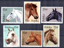 Chevaux Pologne 1989 (14) Yvert n° 2997 à 3002 oblitérés used