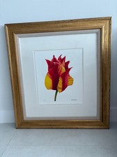 JOHN MATTHEW MOORE TULIP GICLEE PRINT SIGNED AND NUMBERED (66/295)