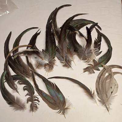 Craft Feathers Natural Real Chicken taiI fly tying  angler 