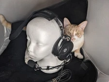 Sigtronics S-20 Headset Pilot - Electrical and Physical Quality Tests Good